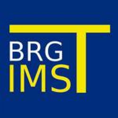 BRG Logo