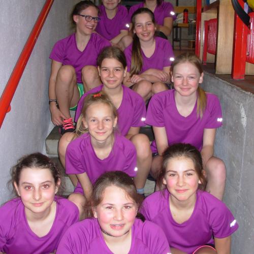Unser Handballteam