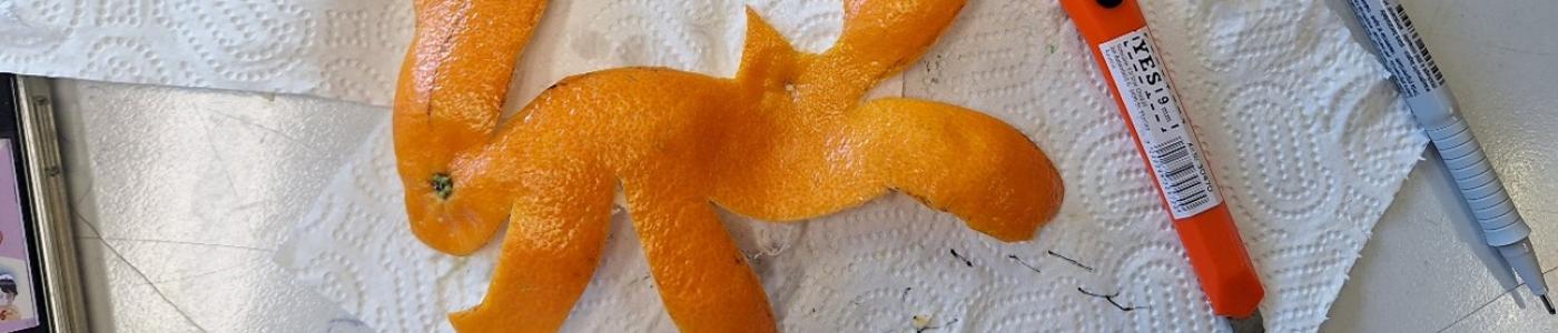 Hase von Paulina Röck