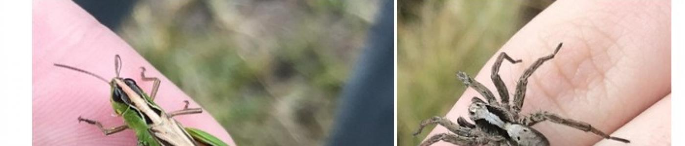 Ausflug zum Piller Moor