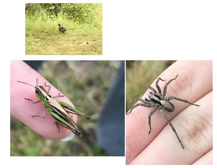 Ausflug zum Piller Moor