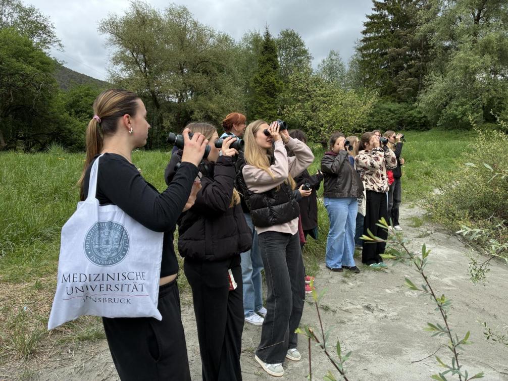 Abschlussveranstaltung Innsieme