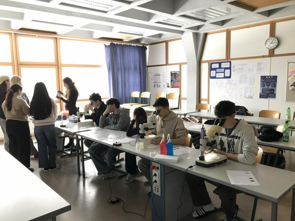 Wahlpflichtfach Biologie