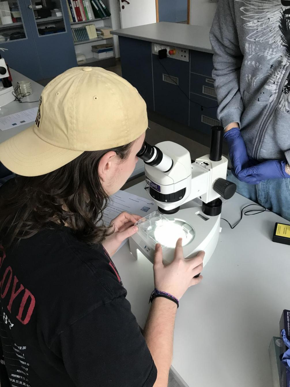 Wahlpflichtfach Biologie
