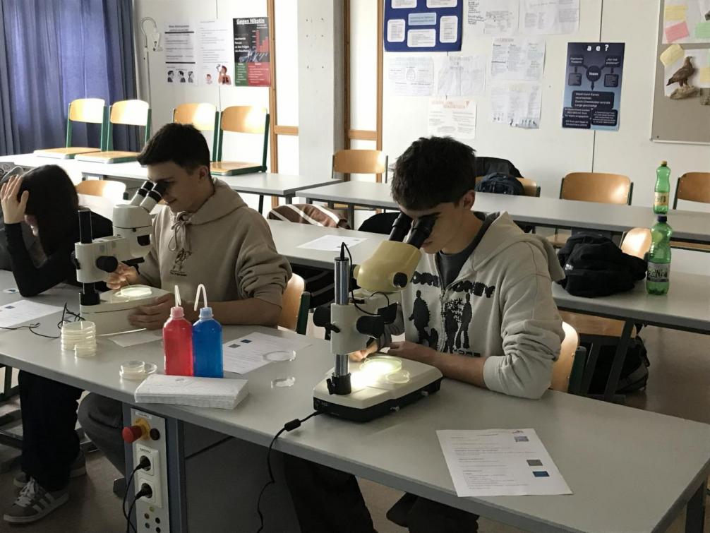 Wahlpflichtfach Biologie