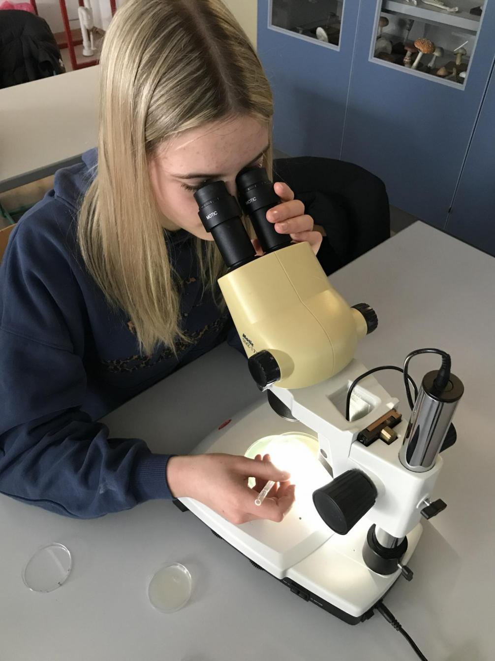 Wahlpflichtfach Biologie