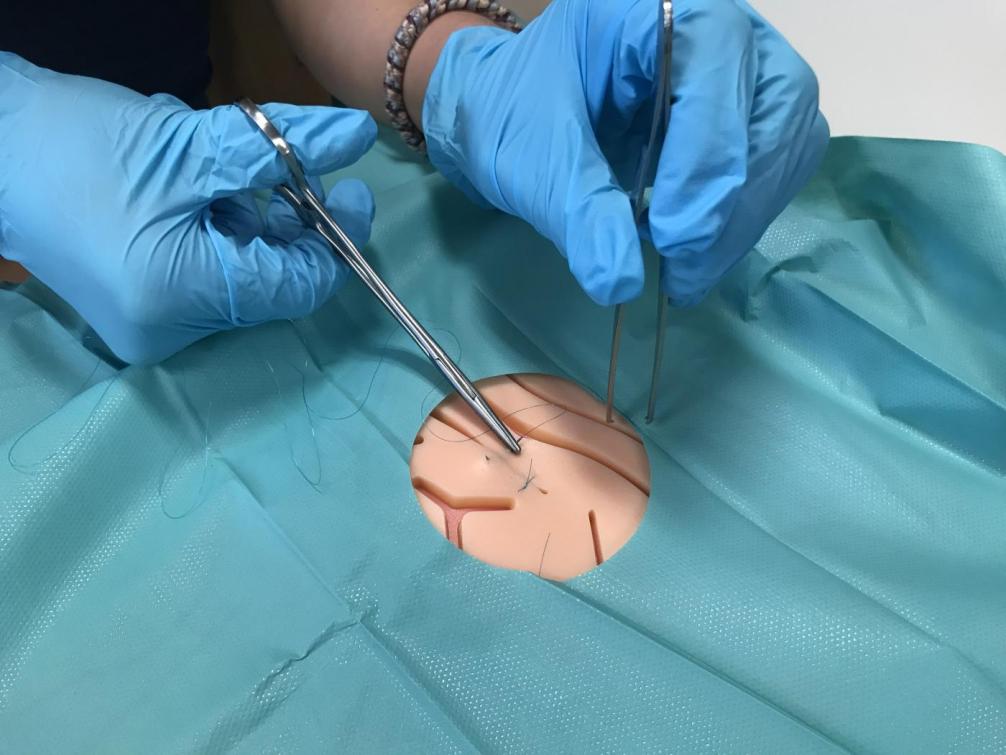 Workshop Wunden nähen