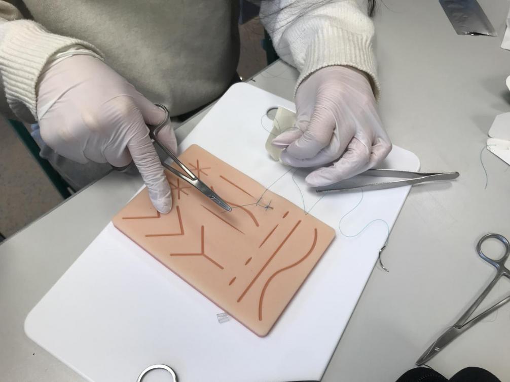 Workshop Wunden nähen