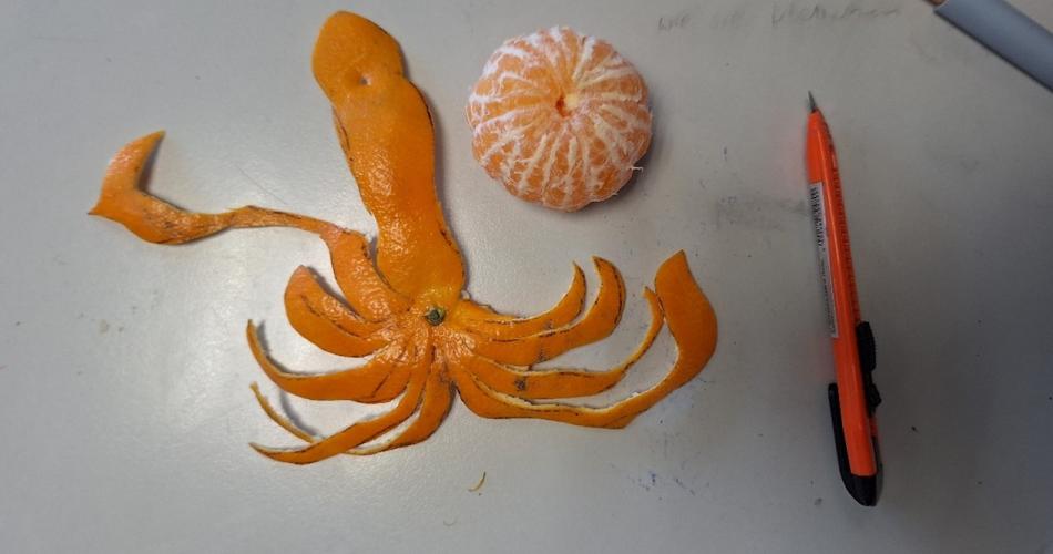 Oktopus von Mara Strigl