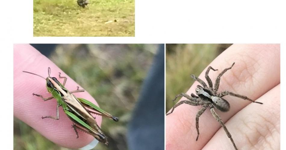 Ausflug zum Piller Moor