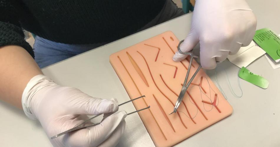 Workshop Wunden nähen