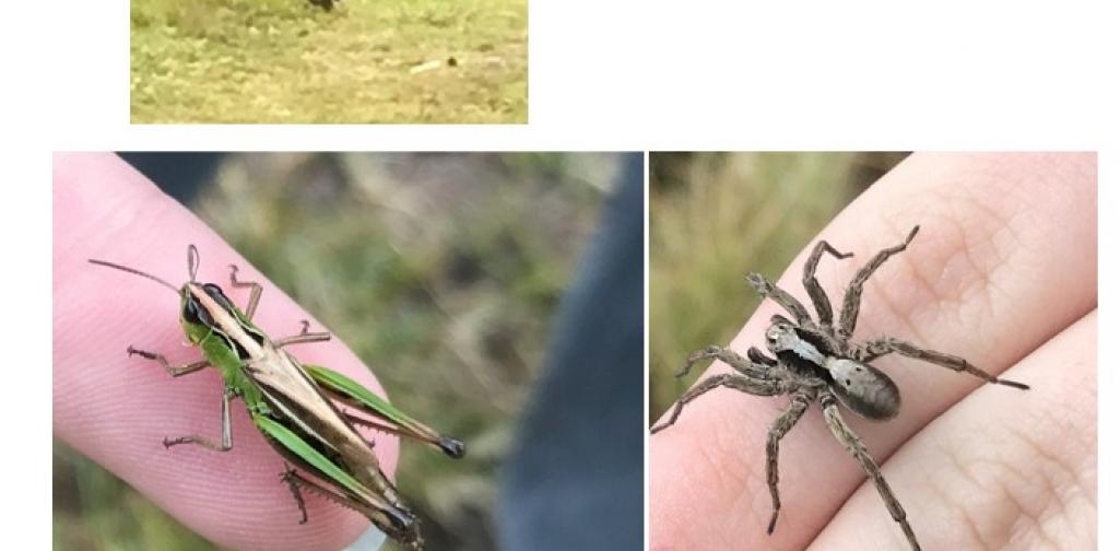 Ausflug zum Piller Moor